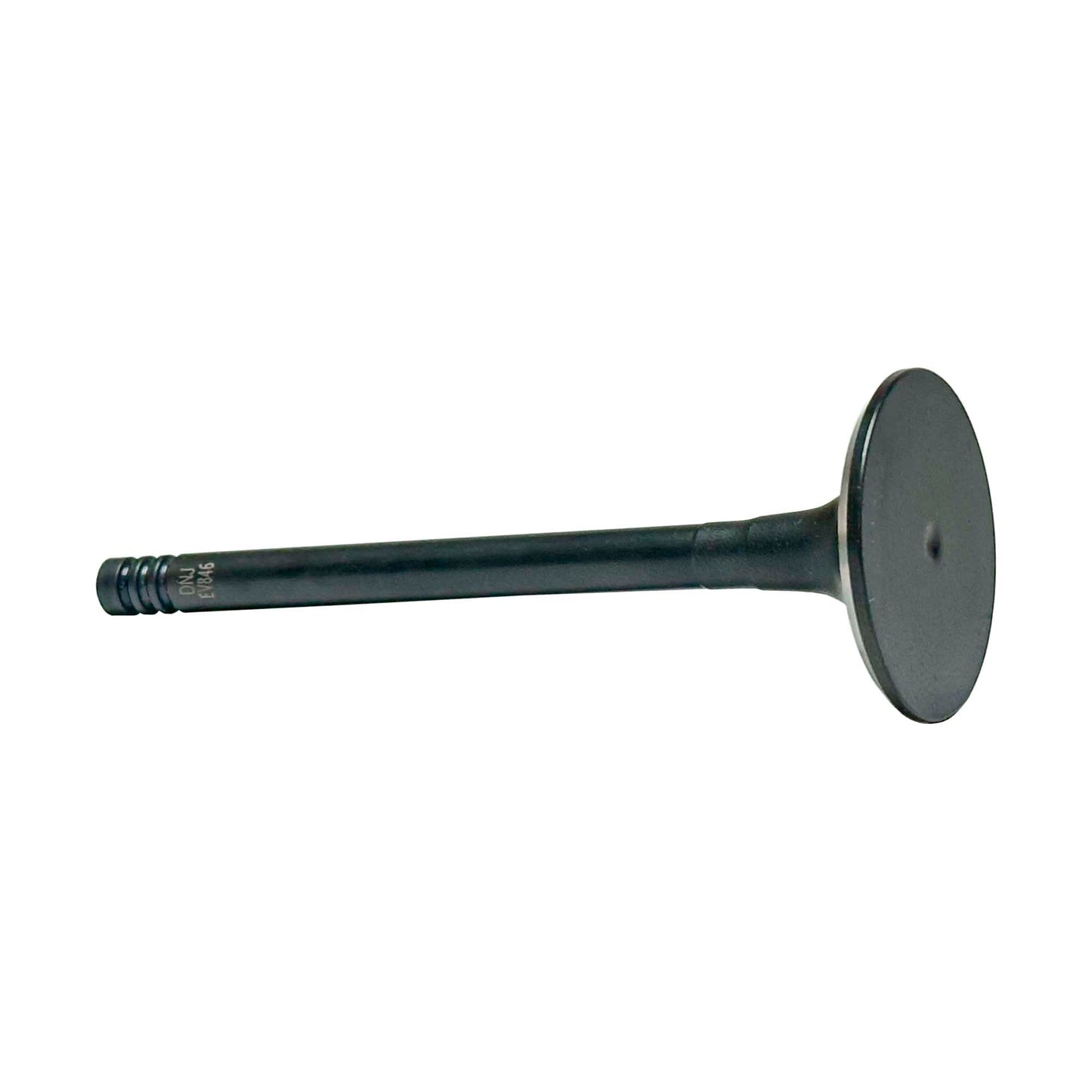 Exhaust Valve 1987-1993 BMW 2.5L