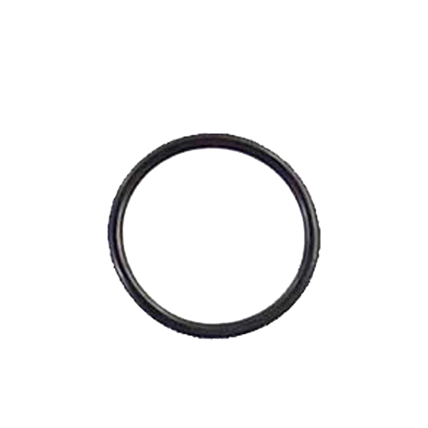 2003 Pontiac Aztek 3.4L Intake Manifold Gasket