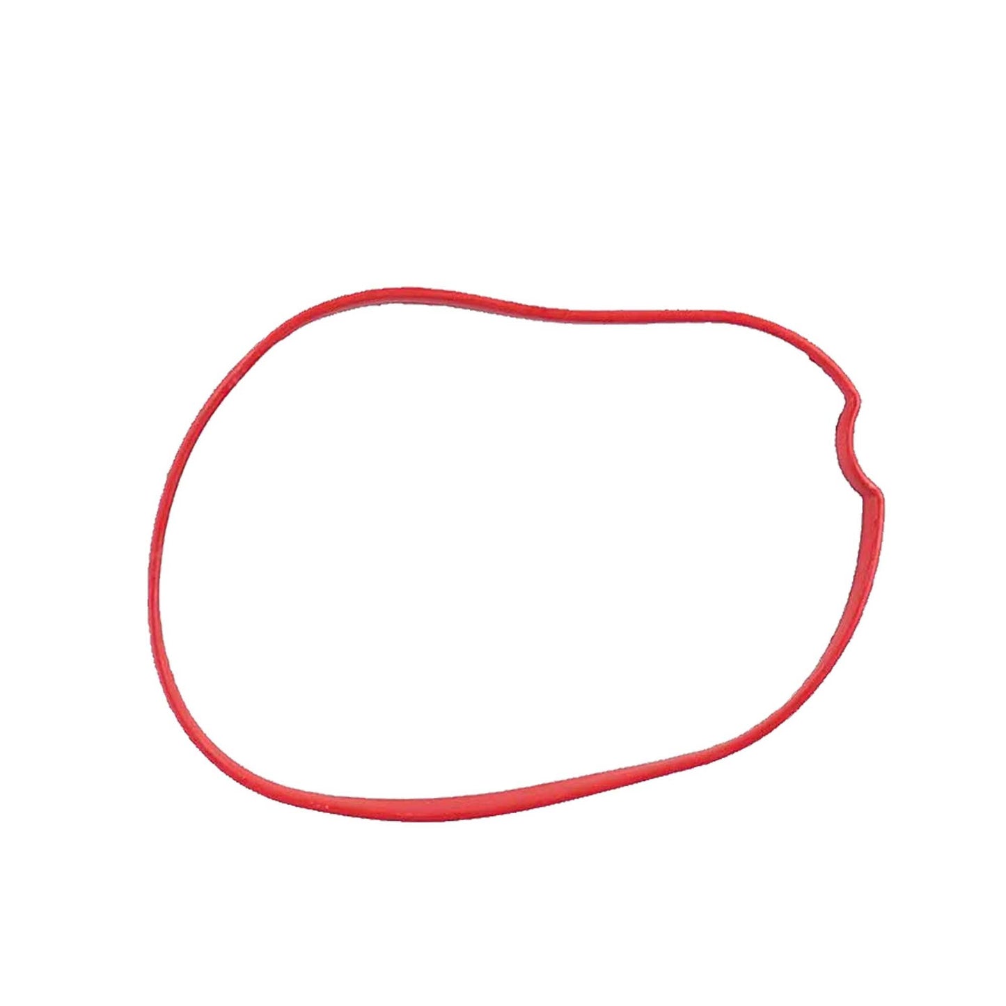 2001 Ford F-150 5.4L Intake Manifold Gasket