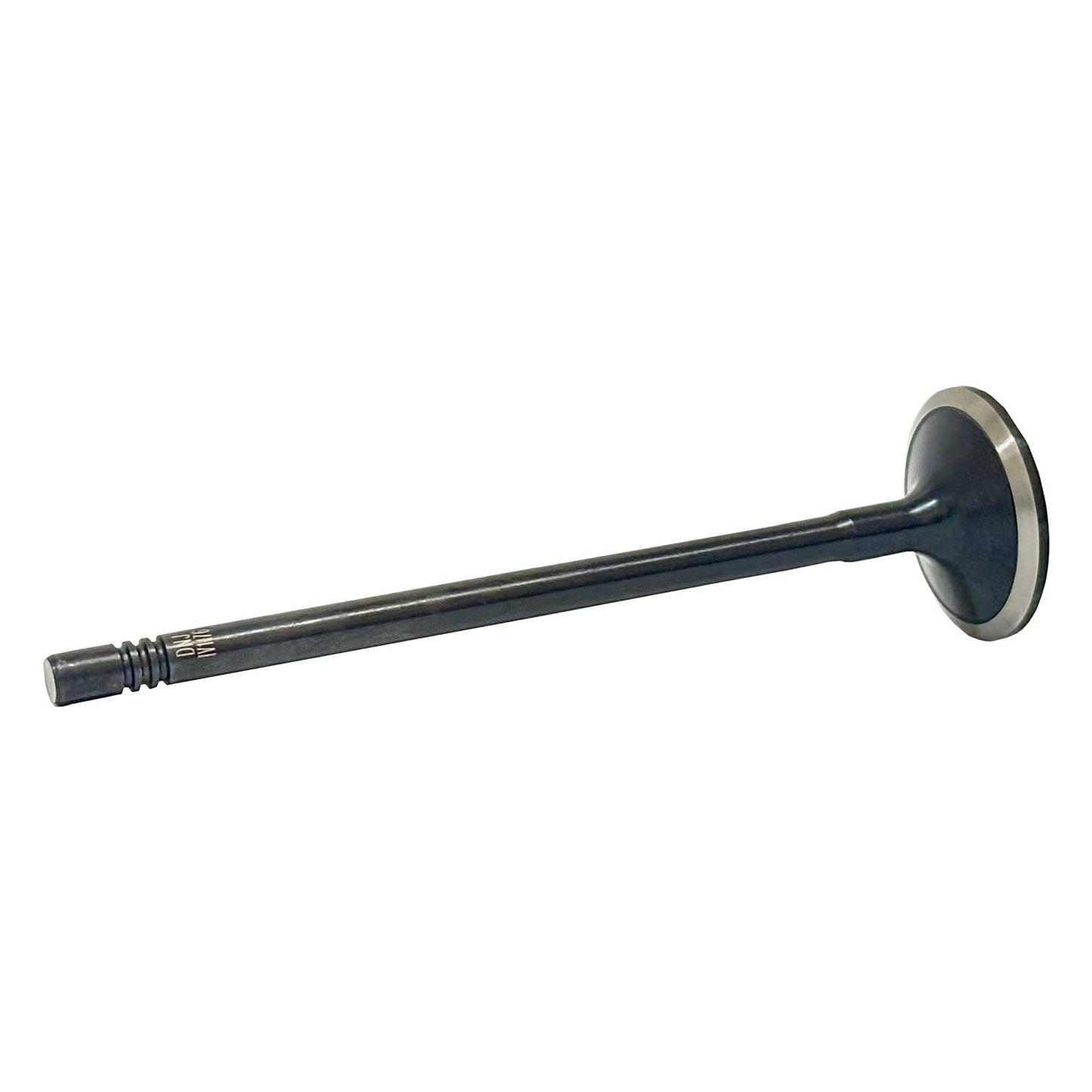 Intake Valve 2014-2018 Ram 3.0L
