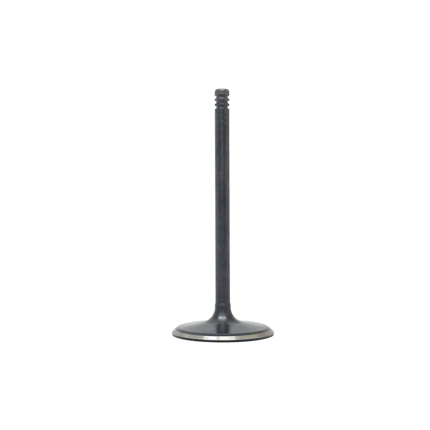 Intake Valve 2011-2022 Chrysler,Dodge,Jeep 6.2L-6.4L