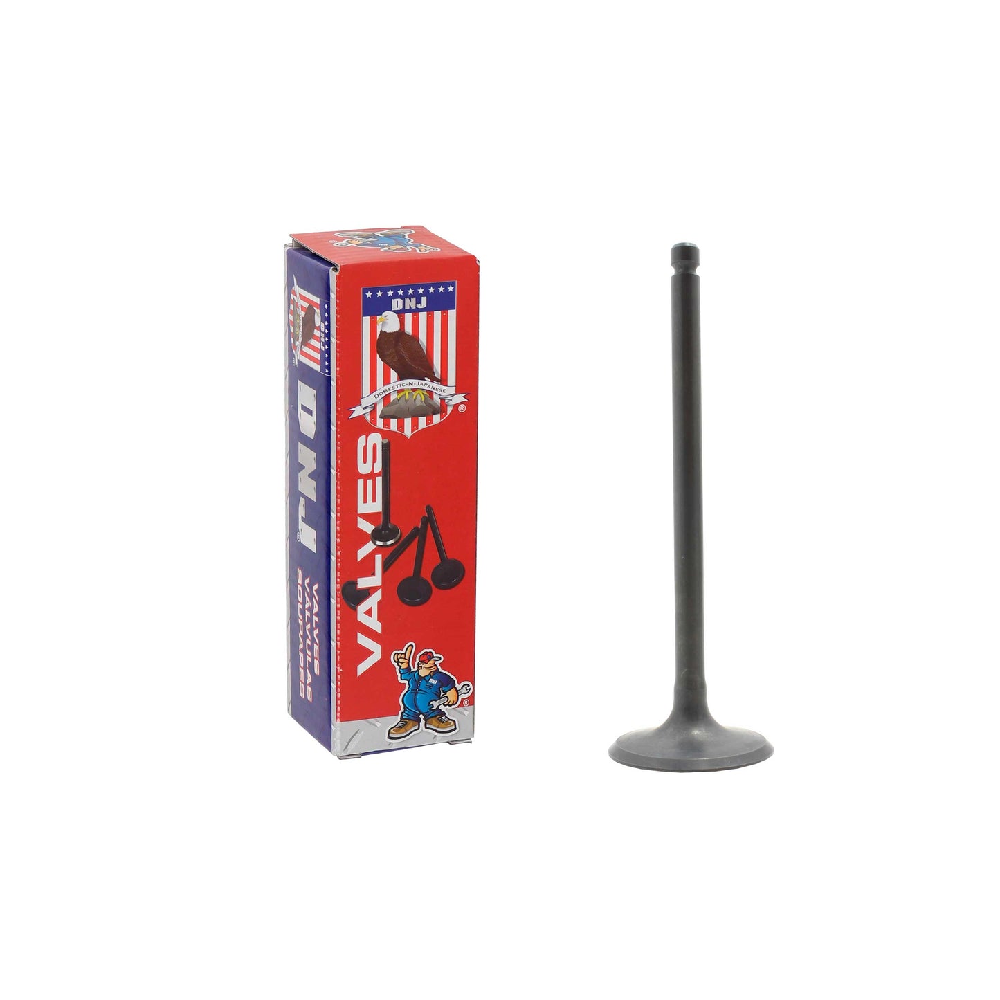 Intake Valve