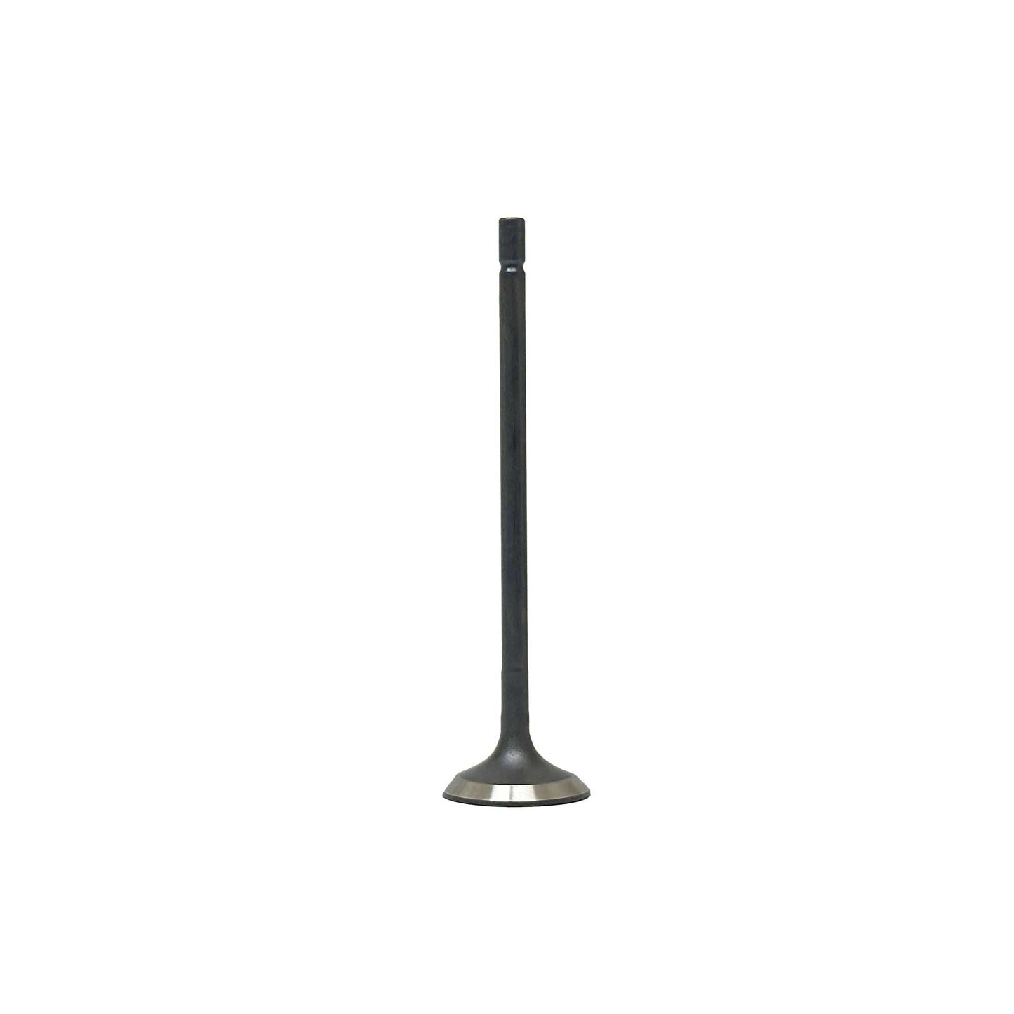 Intake Valve 2014-2019 Mazda 2.5L
