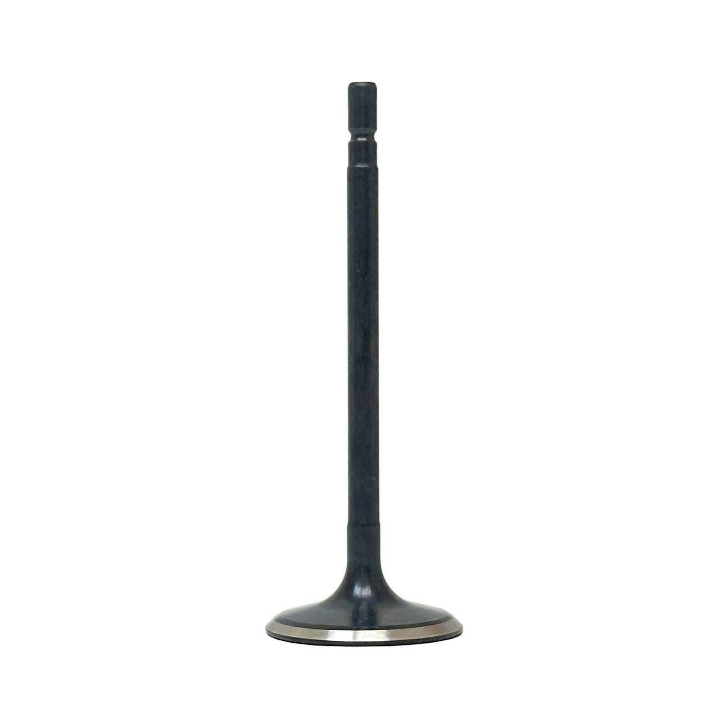 Intake Valve 2013-2018 INFINITI 3.5L