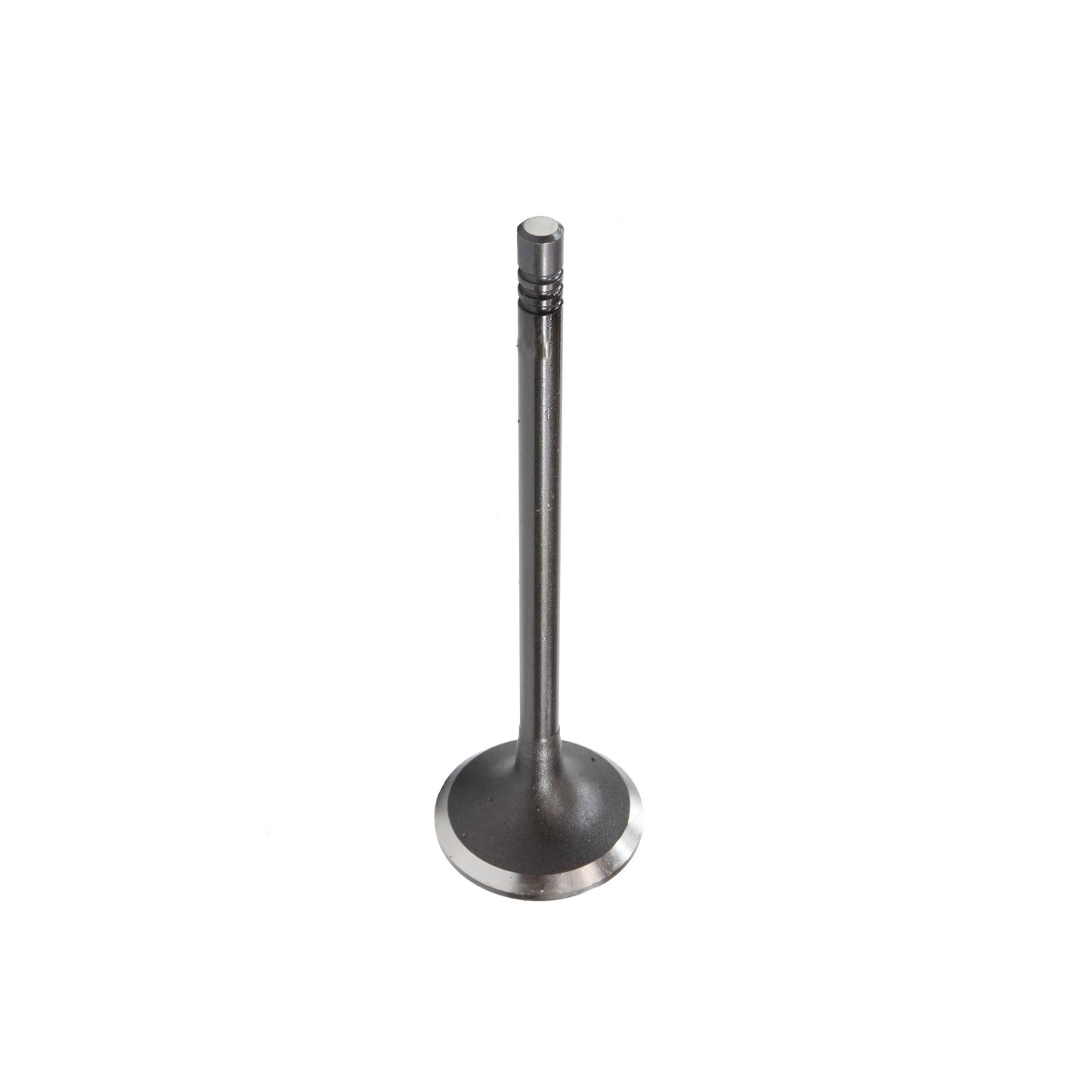 Intake Valve 2014-2015 BMW 2.0L-3.0L
