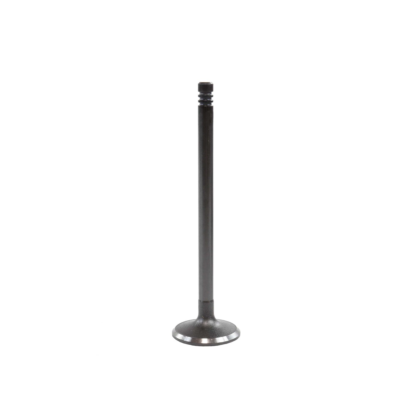 Intake Valve 2009-2013 BMW 3.0L