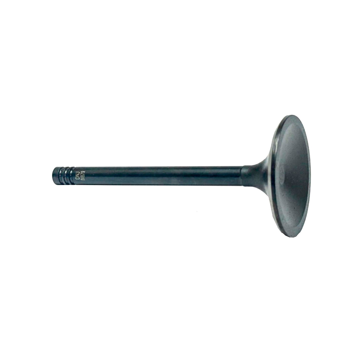 Intake Valve 1985-1989 BMW 3.5L