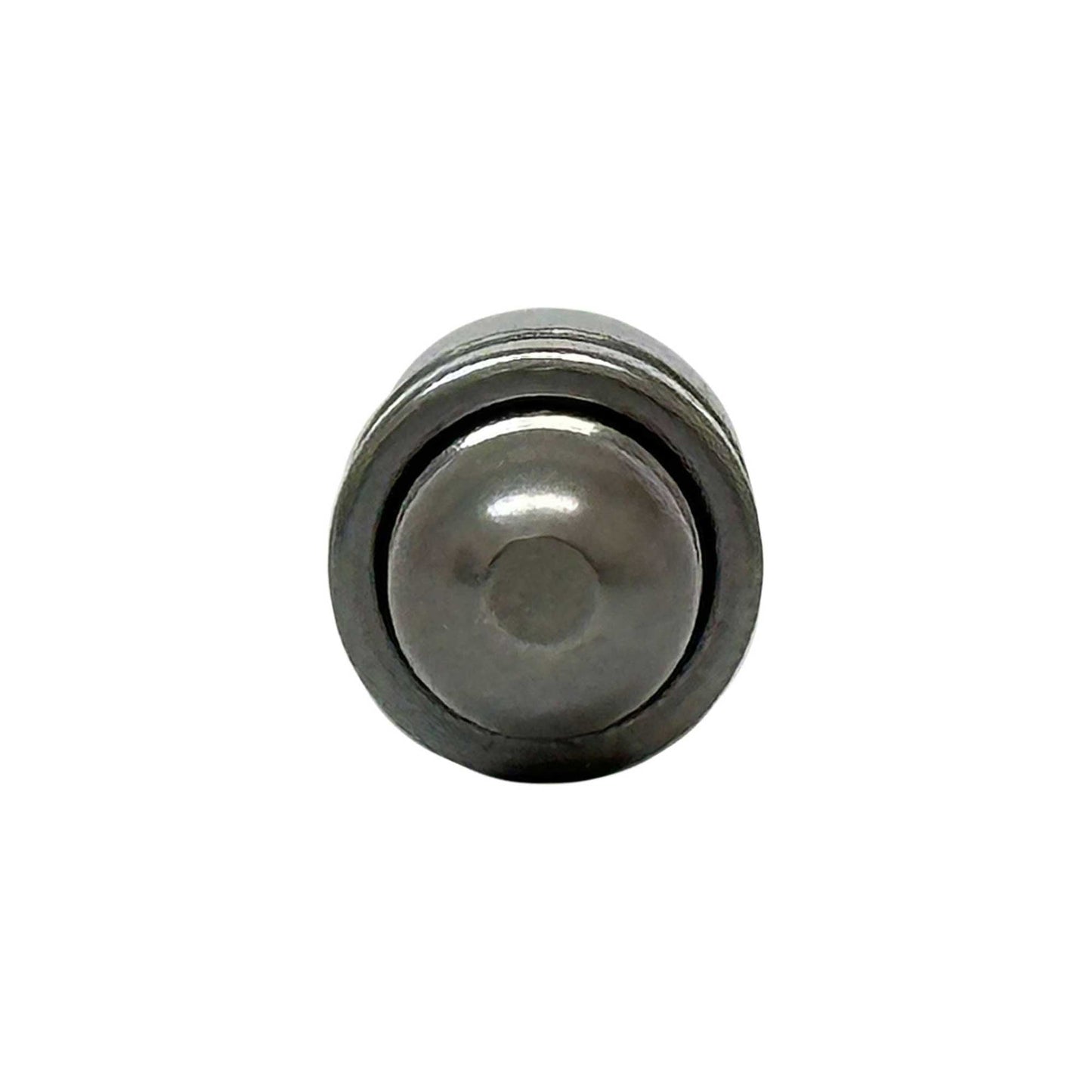 Valve Lifter 2002-2010 BMW 4.4L-4.8L