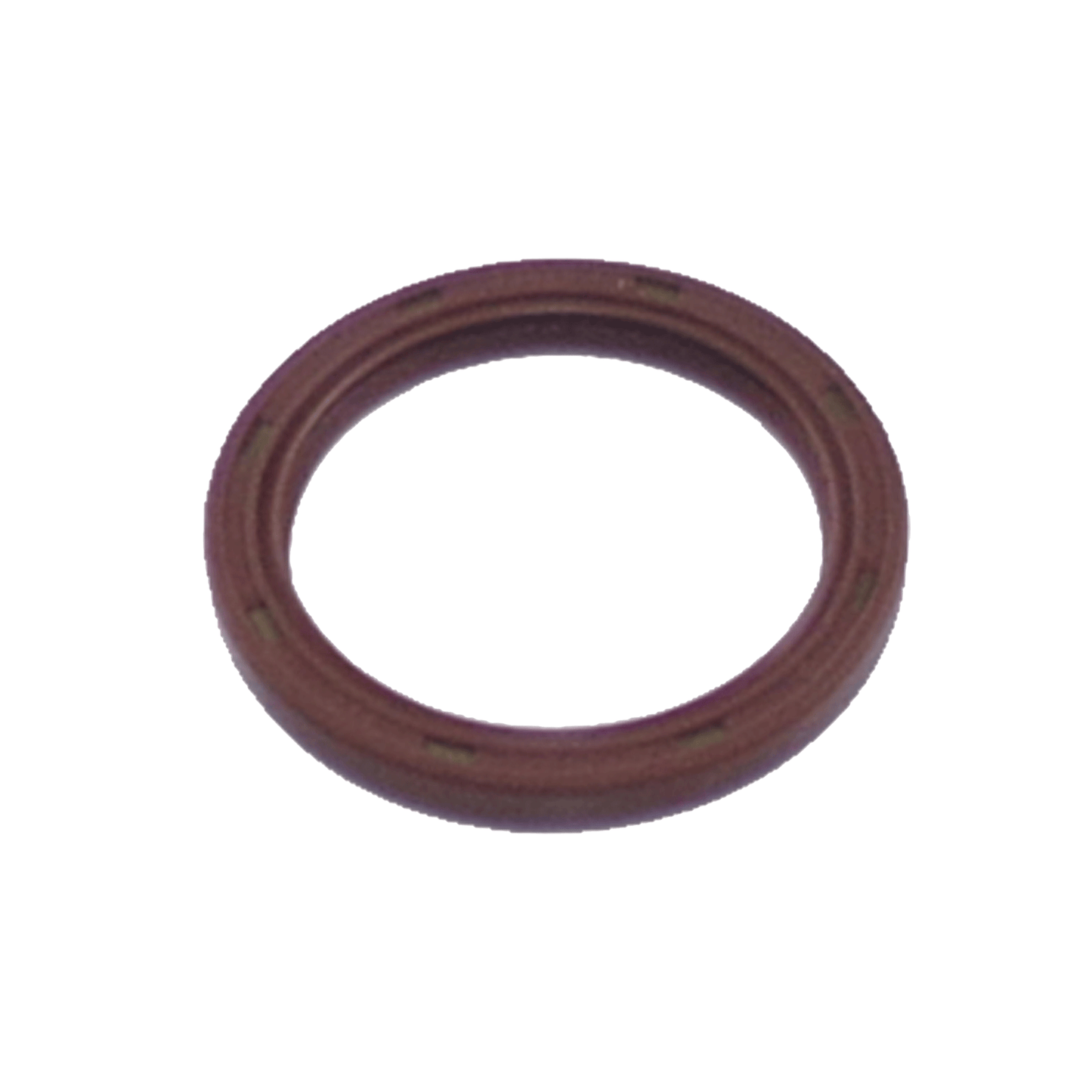 2010 Mitsubishi Outlander 3.0L Timing Cover Seal