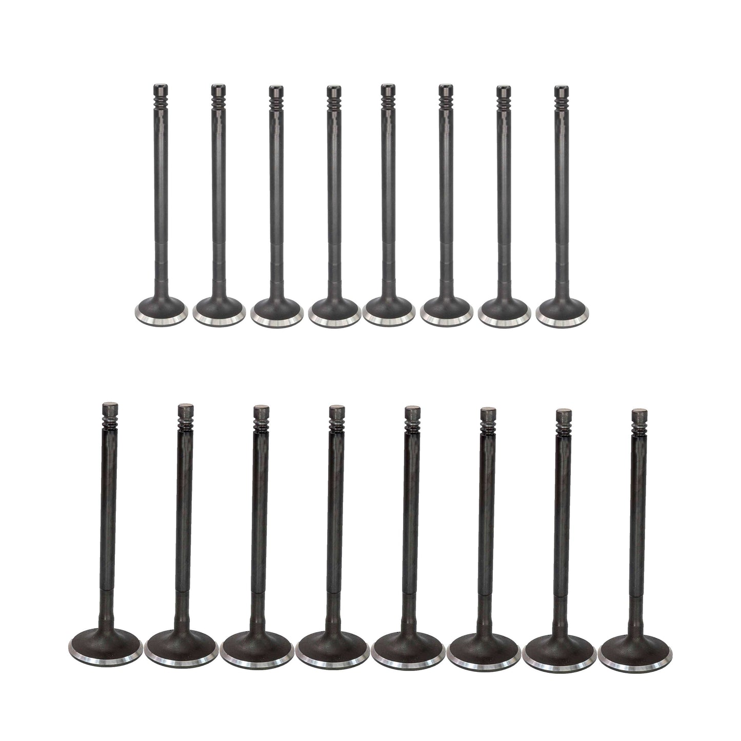 Exhaust / Intake Valve Kit 2011-2019 Ford 1.6L