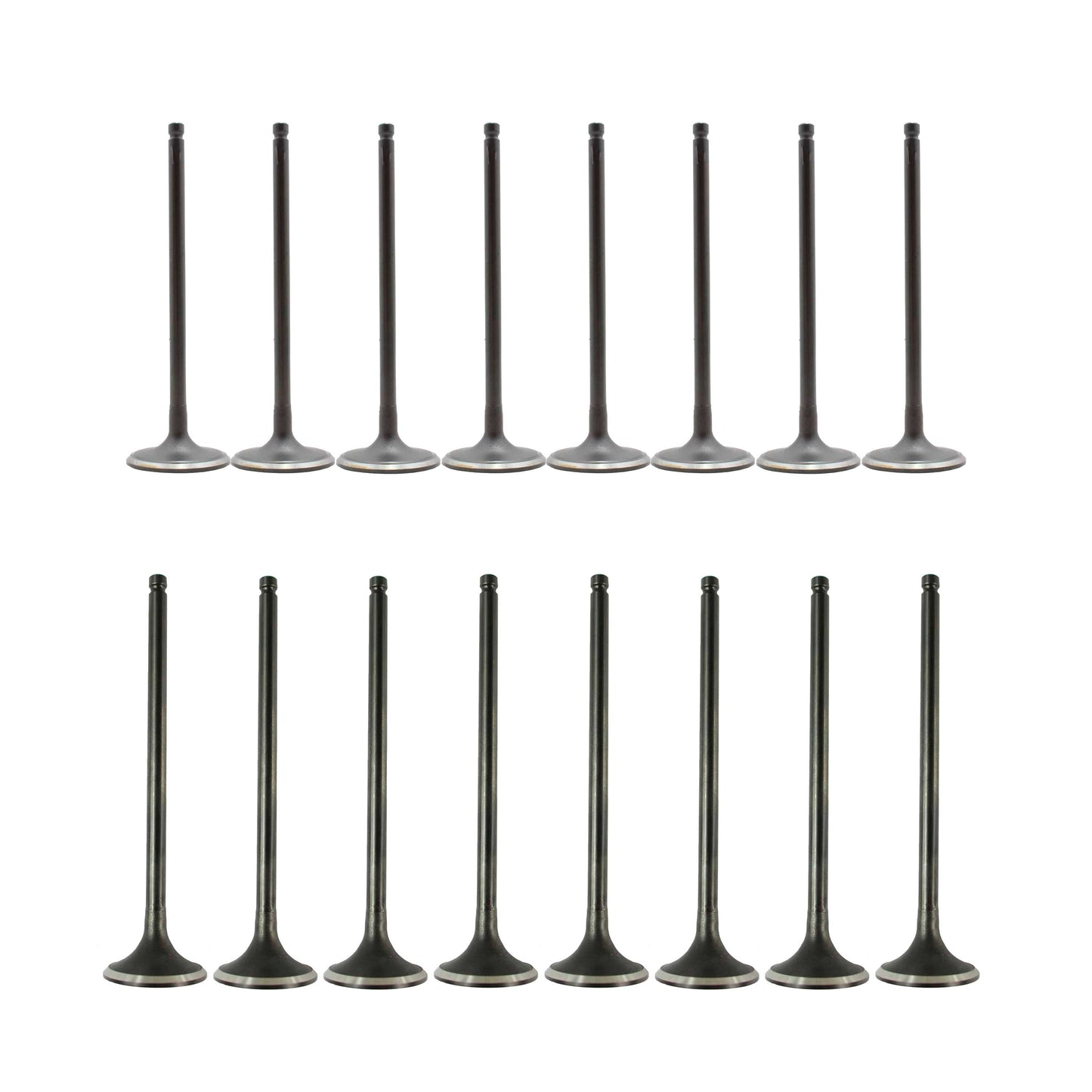 Exhaust / Intake Valve Kit 2009-2011 Nissan 1.6L
