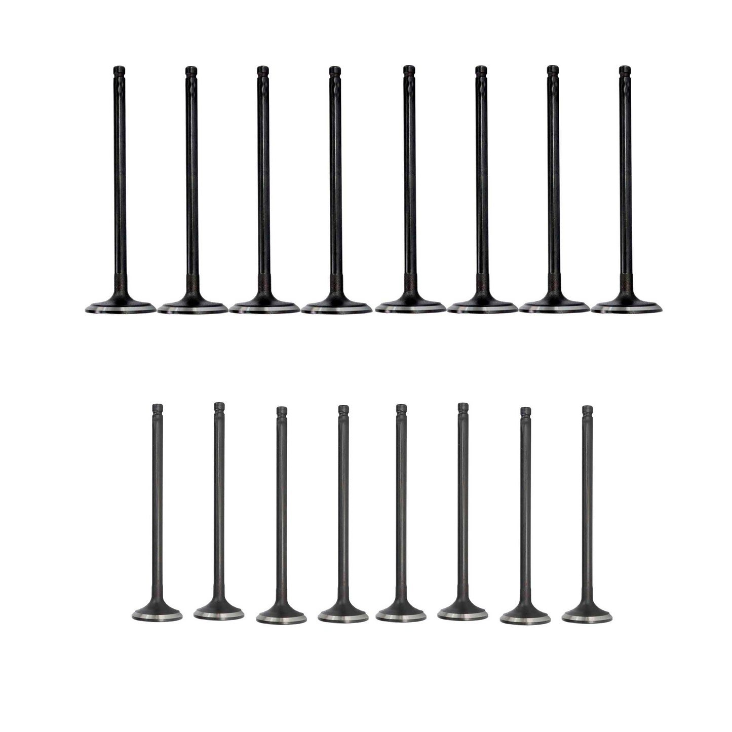 Exhaust / Intake Valve Kit 2011-2017 Nissan 1.6L