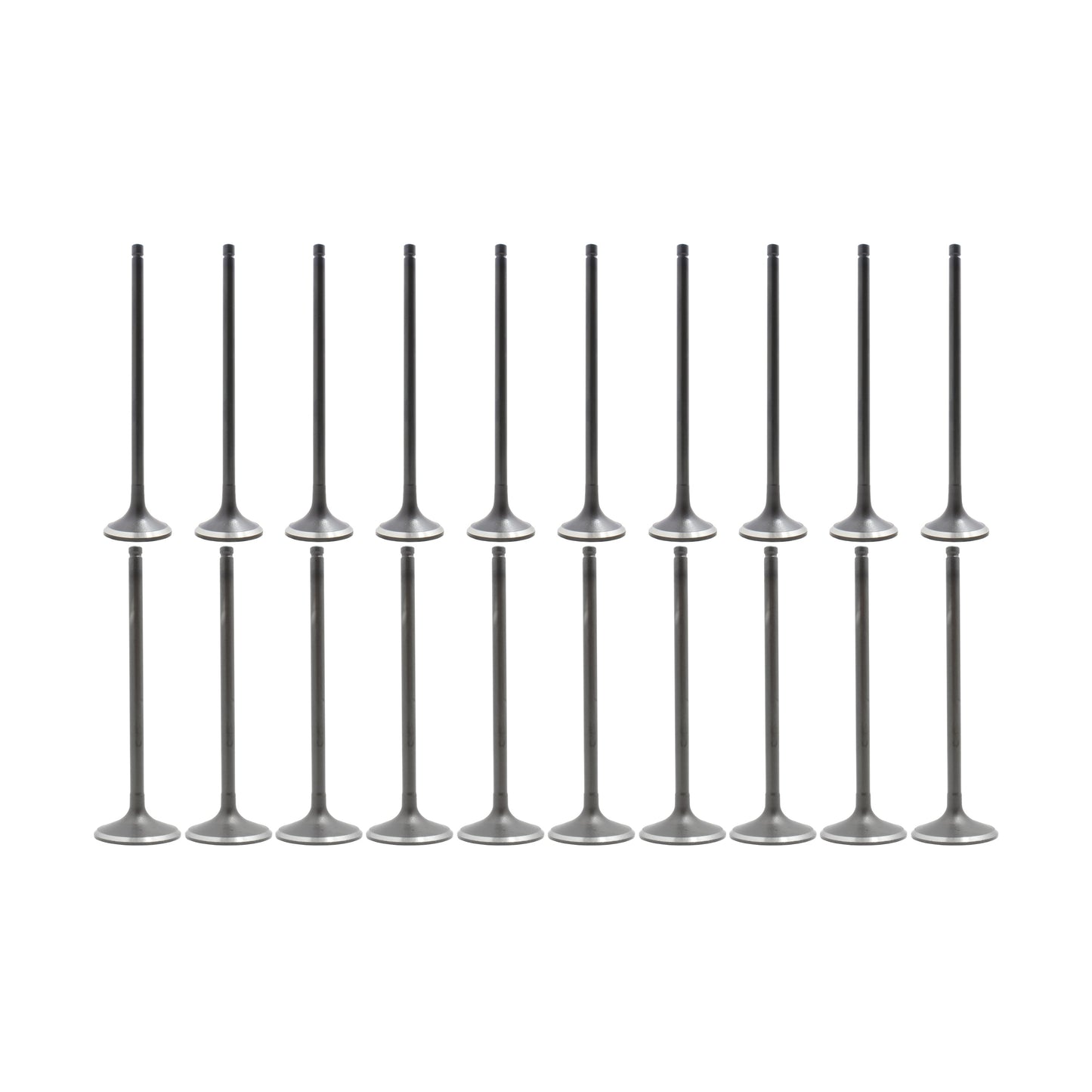 Exhaust Intake Valve Kit 1992-1998 Acura 2.5L