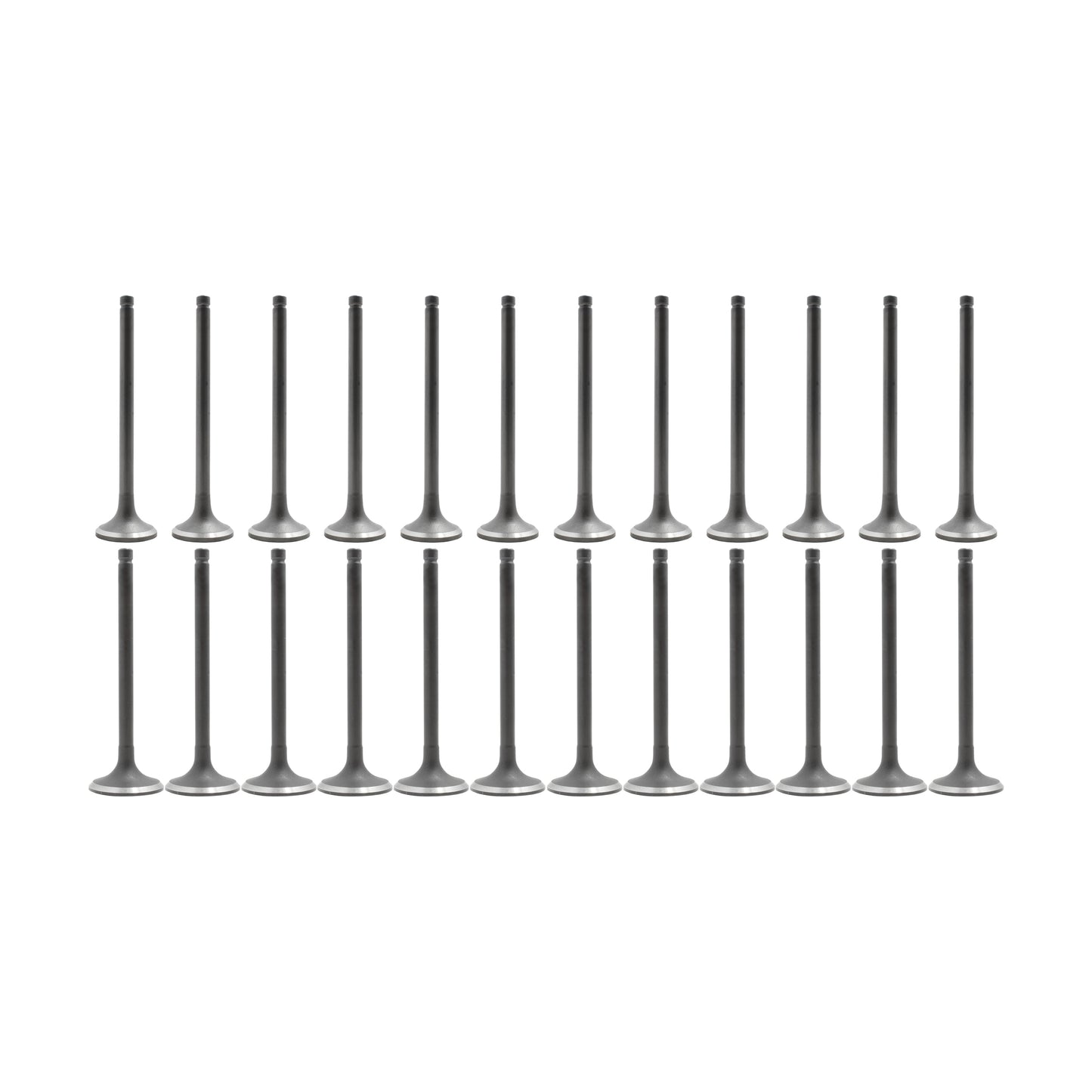 Exhaust Intake Valve Kit 1986-1995 Acura 2.5L-2.7L