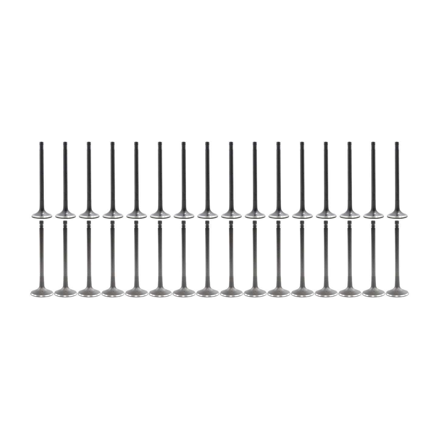 Exhaust Intake Valve Kit 2007-2010 Audi 4.2L