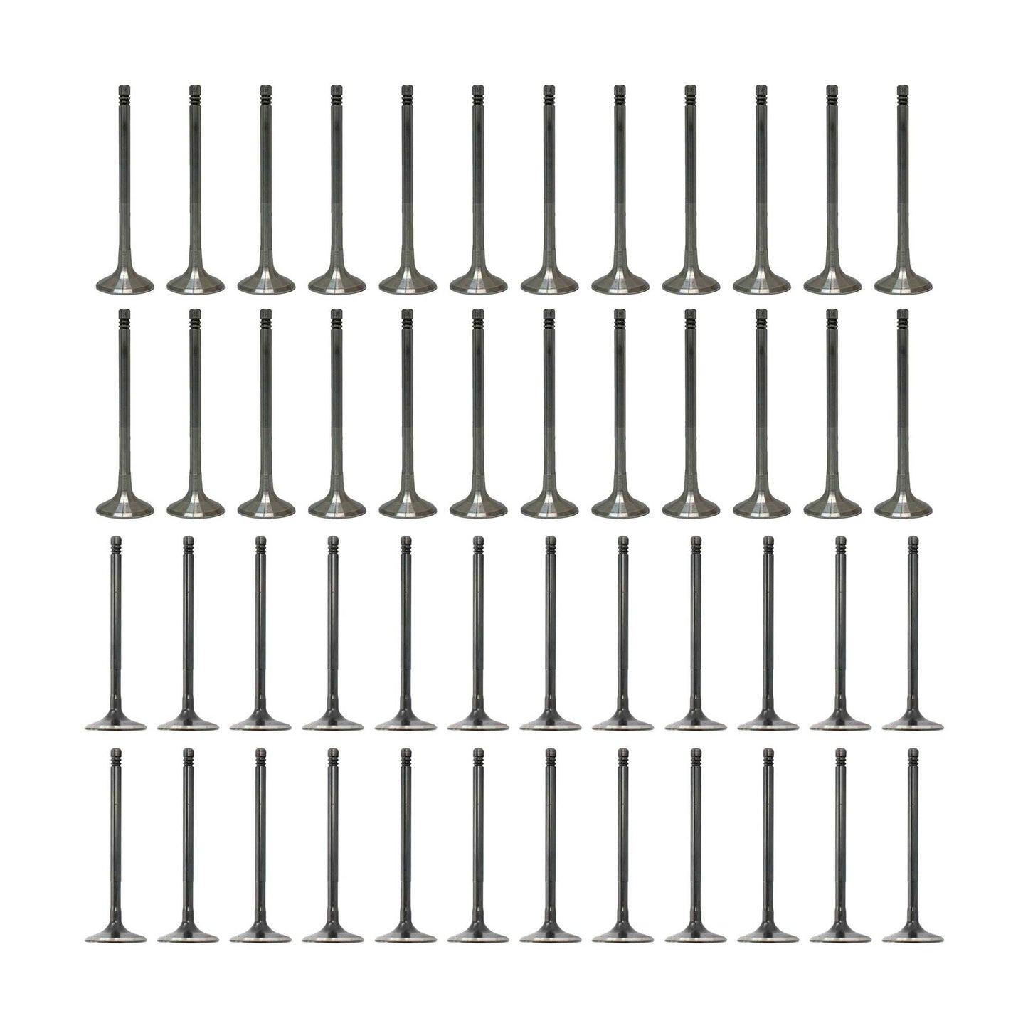 Exhaust / Intake Valve Kit 2012-2016 Audi 6.3L