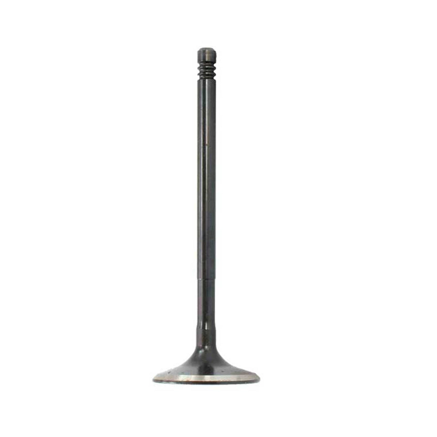 Exhaust / Intake Valve Kit 2012-2016 Audi 6.3L