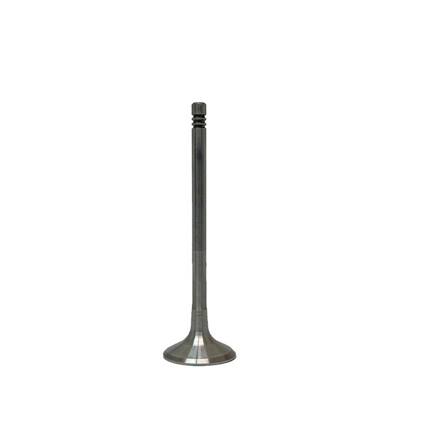 Exhaust / Intake Valve Kit 2012-2016 Audi 6.3L