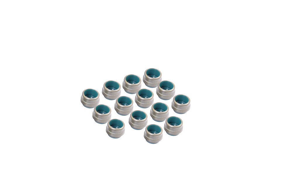 Valve Stem Oil Seal Set 2011-2021 Buick,Cadillac,Chevrolet 1.4L