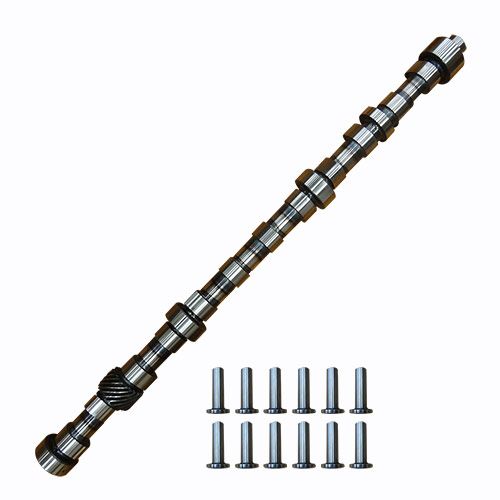 WN-AR100385