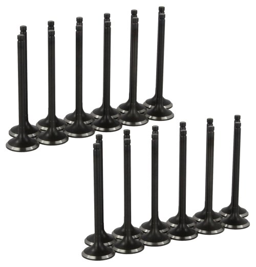 Exhaust / Intake Valve Kit 1992-2005 Lexus, Toyota 3.0L