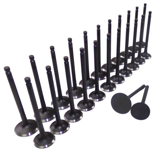Exhaust / Intake Valve Kit 1999-2010 Hyundai,Kia 2.5L-2.7L