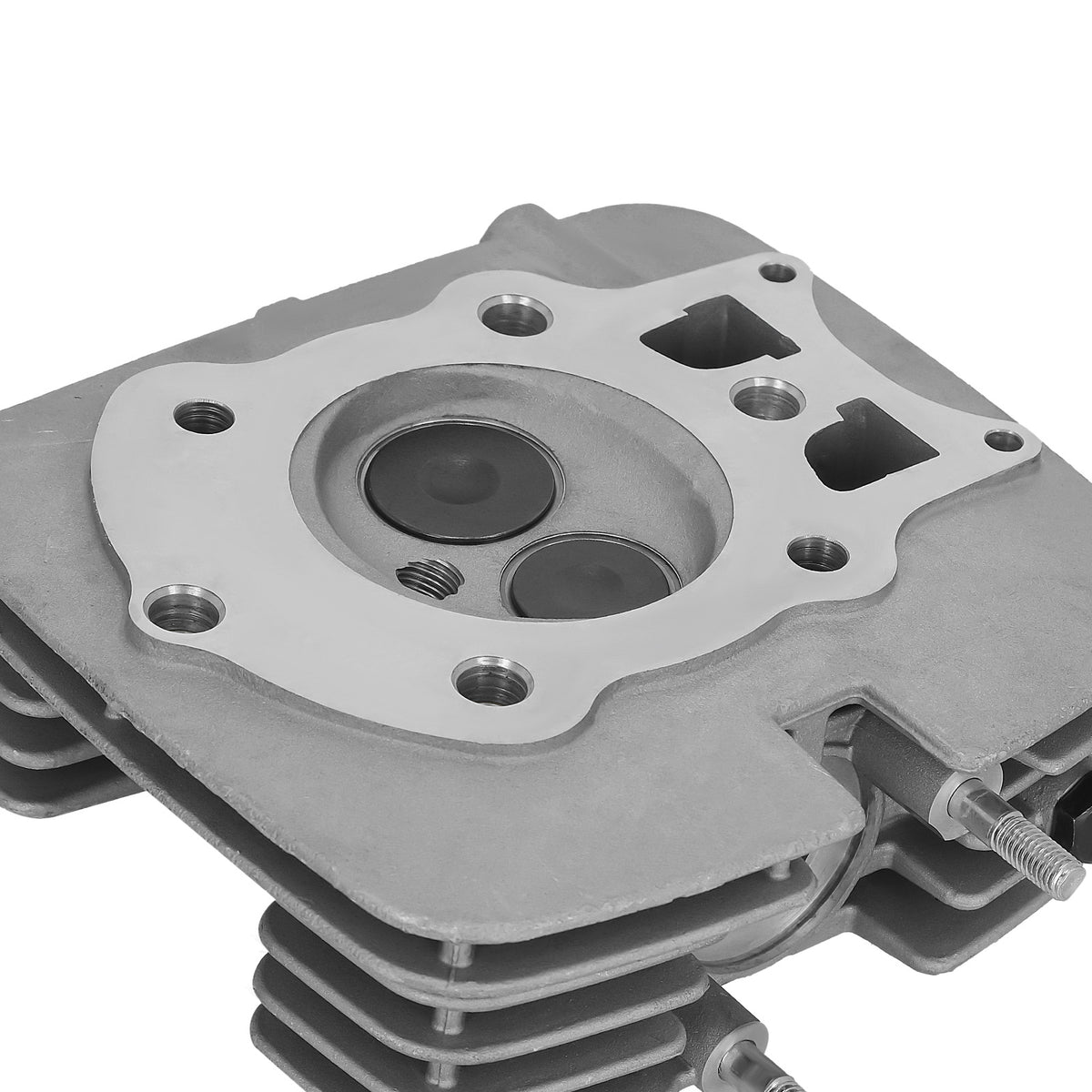 Cylinder Head Kit compatible For Honda Rancher 350 TRX350TE TRX350TM TRX350FE 2000-2006