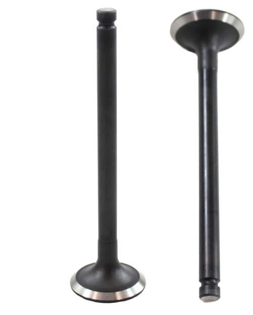 Exhaust Valve 1988-1997 Ford 1.3L