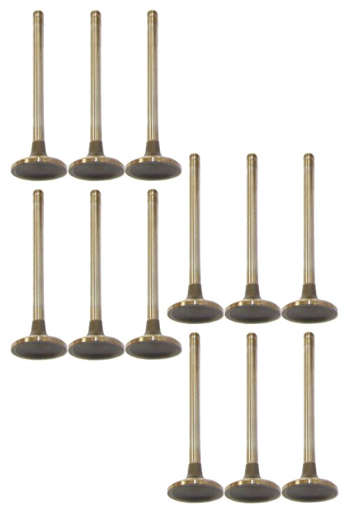 Exhaust / Intake Valve Kit 2004-2007 Buick,Chevrolet,Pontiac,Saturn 3.5L