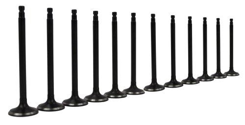 Exhaust / Intake Valve Kit 1995-2004 INFINITI,Mercury,Nissan 3.0L-3.3L