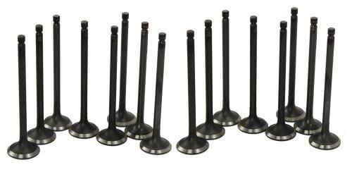 Exhaust / Intake Valve Kit 1996-2001 Hyundai 1.8L-2.0L