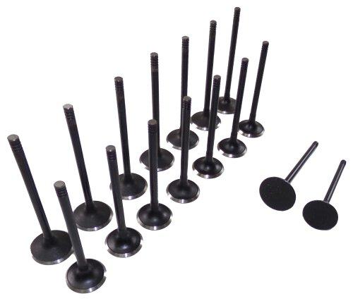 Exhaust / Intake Valve Kit 1998-2008 Daewoo,Isuzu,Suzuki 2.0L-2.2L