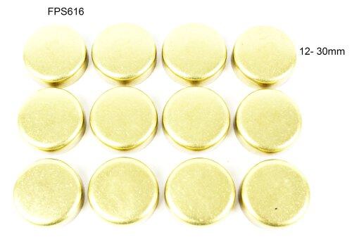 Expansion Plug Kit 1984-2004 INFINITI,Mercury,Nissan 3.0L-3.3L