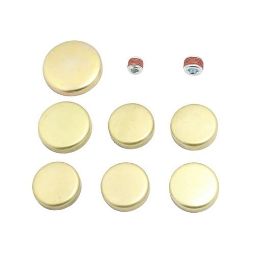 1994 Ford Tempo 2.3L Expansion Plug