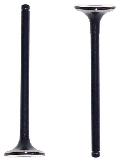 Intake Valve 1992-1995 Isuzu 3.2L