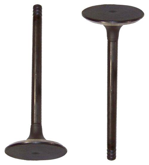 Intake Valve 1992-2002 Volkswagen 2.8L