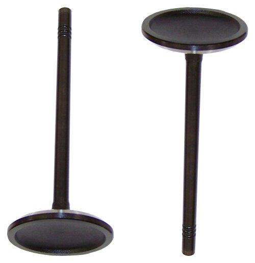Intake Valve 1999-2019 Ford,Lincoln,Mercury 4.6L-6.8L