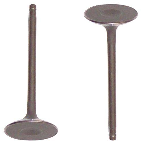 Intake Valve 2002-2019 Nissan,Suzuki 2.5L