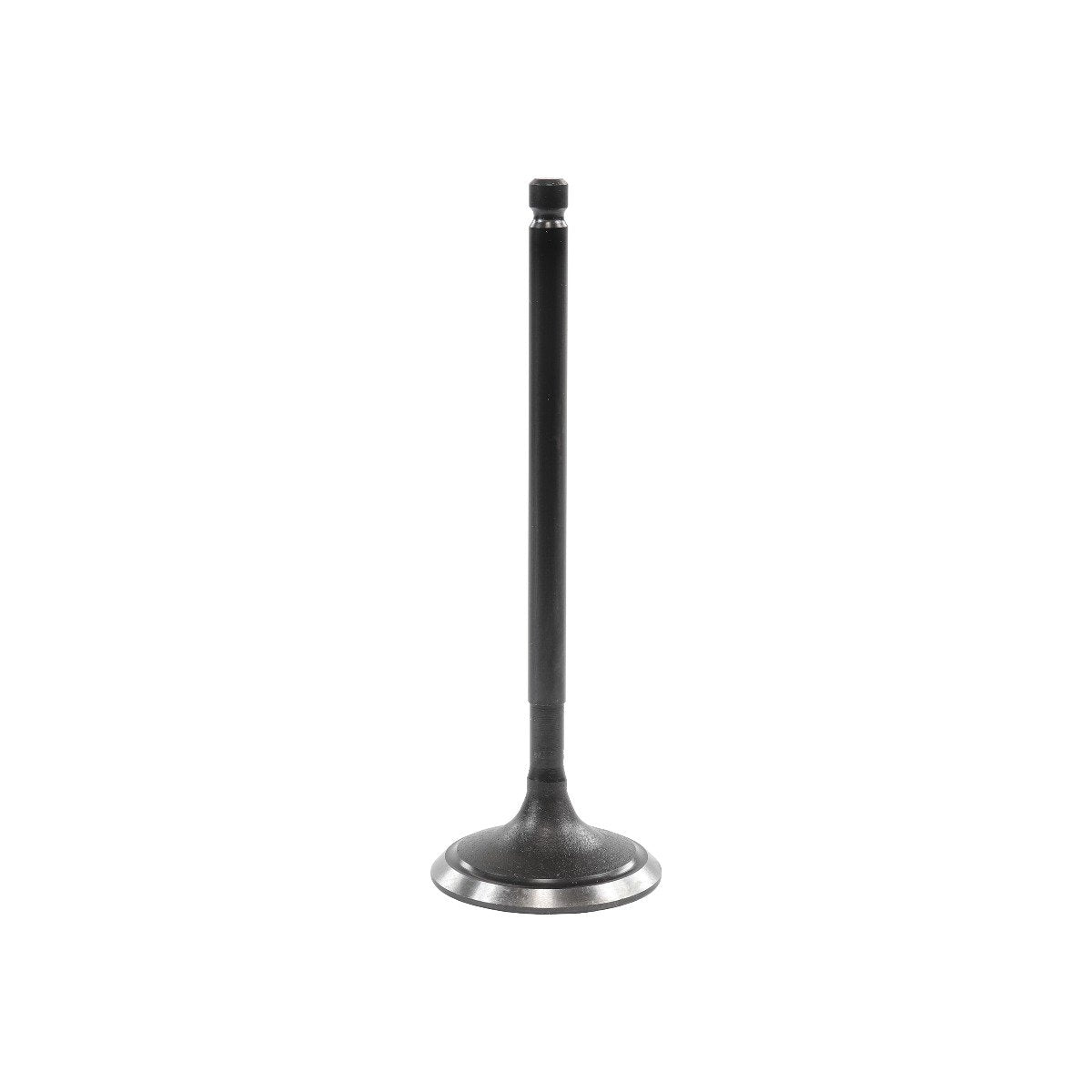 Intake Valve 2006-2012 Mitsubishi 3.8L
