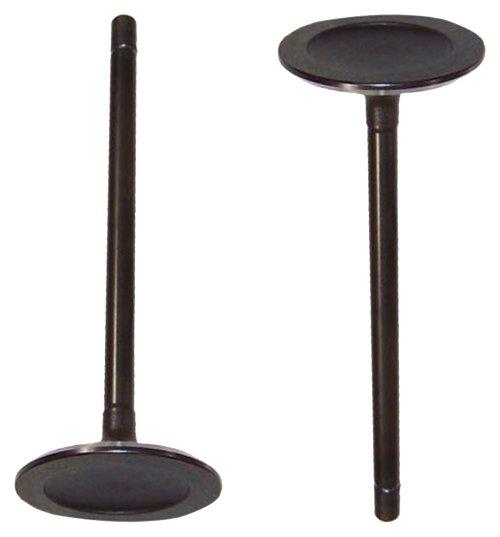 Intake Valve 2007-2009 Suzuki 3.6L