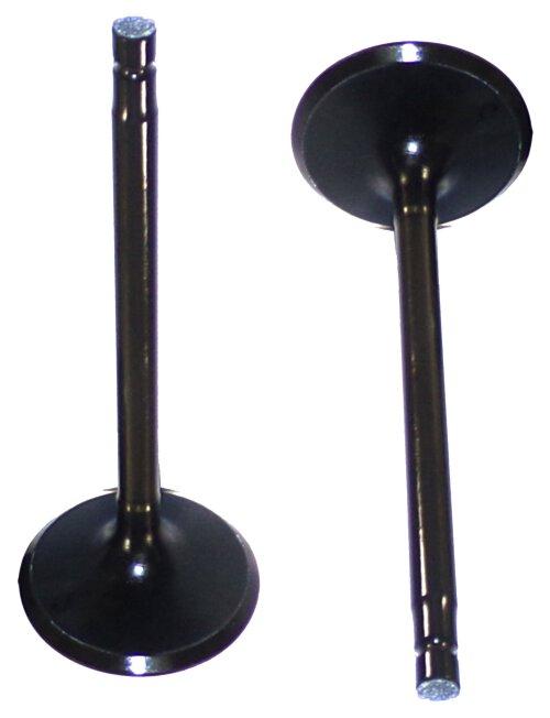 Intake Valve 2007-2017 INFINITI,Nissan 3.5L-3.7L