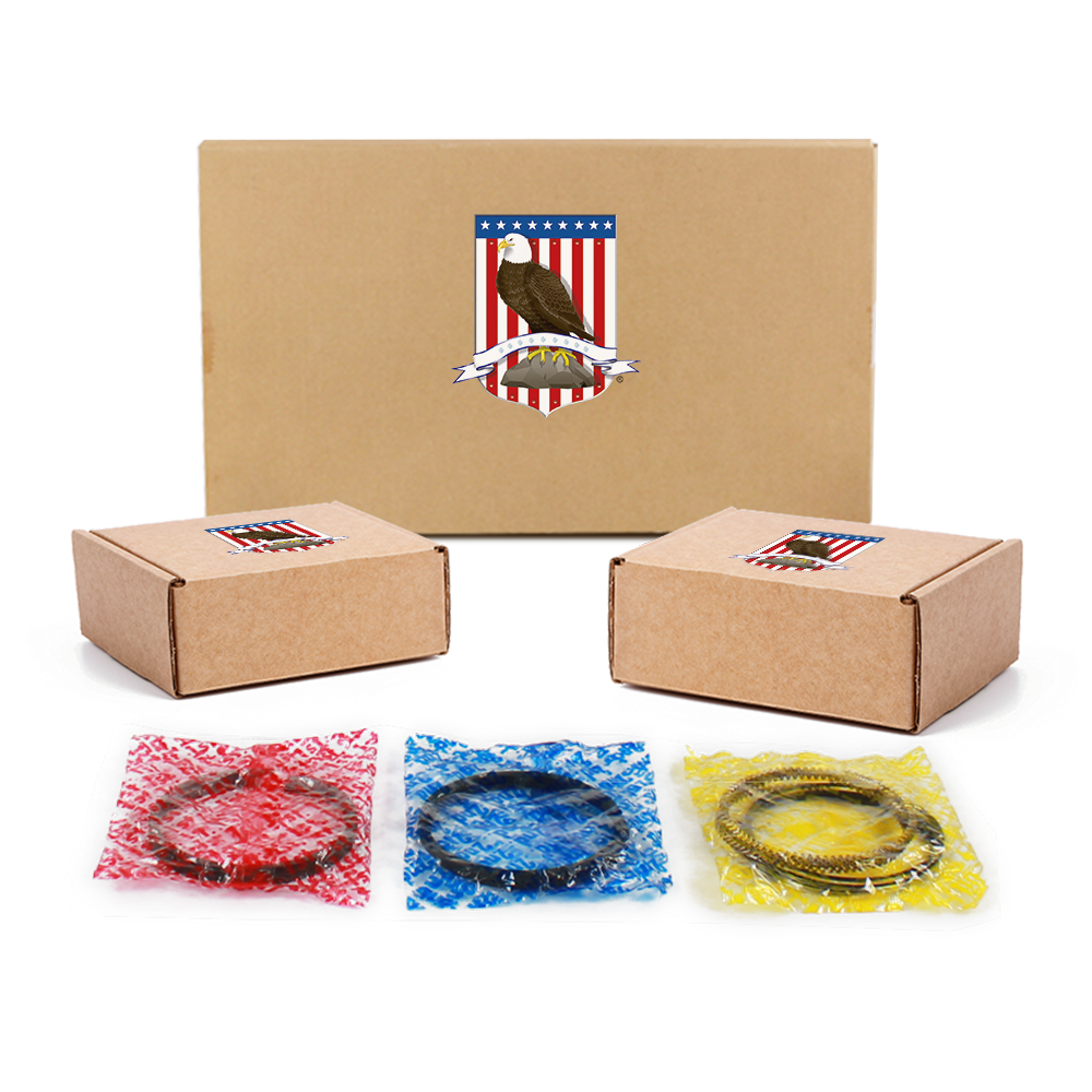 Engine Re-Ring Kit 2002-2009 INFINITI,Nissan 3.5L
