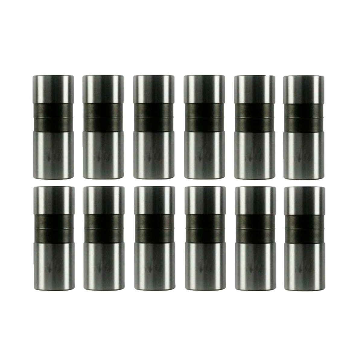 Valve Lifter Kit 1975-1987 Buick,Chevrolet,GMC,Oldsmobile,Pontiac 3.8L