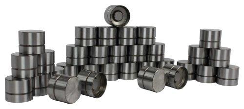 Valve Lifter Kit 1993-1999 Cadillac,Oldsmobile 4.0L-4.6L