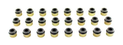 Valve Stem Oil Seal Set 2002-2005 Volkswagen 2.8L