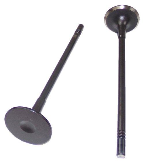 2009 Chevrolet Aveo 1.6L Exhaust Valve