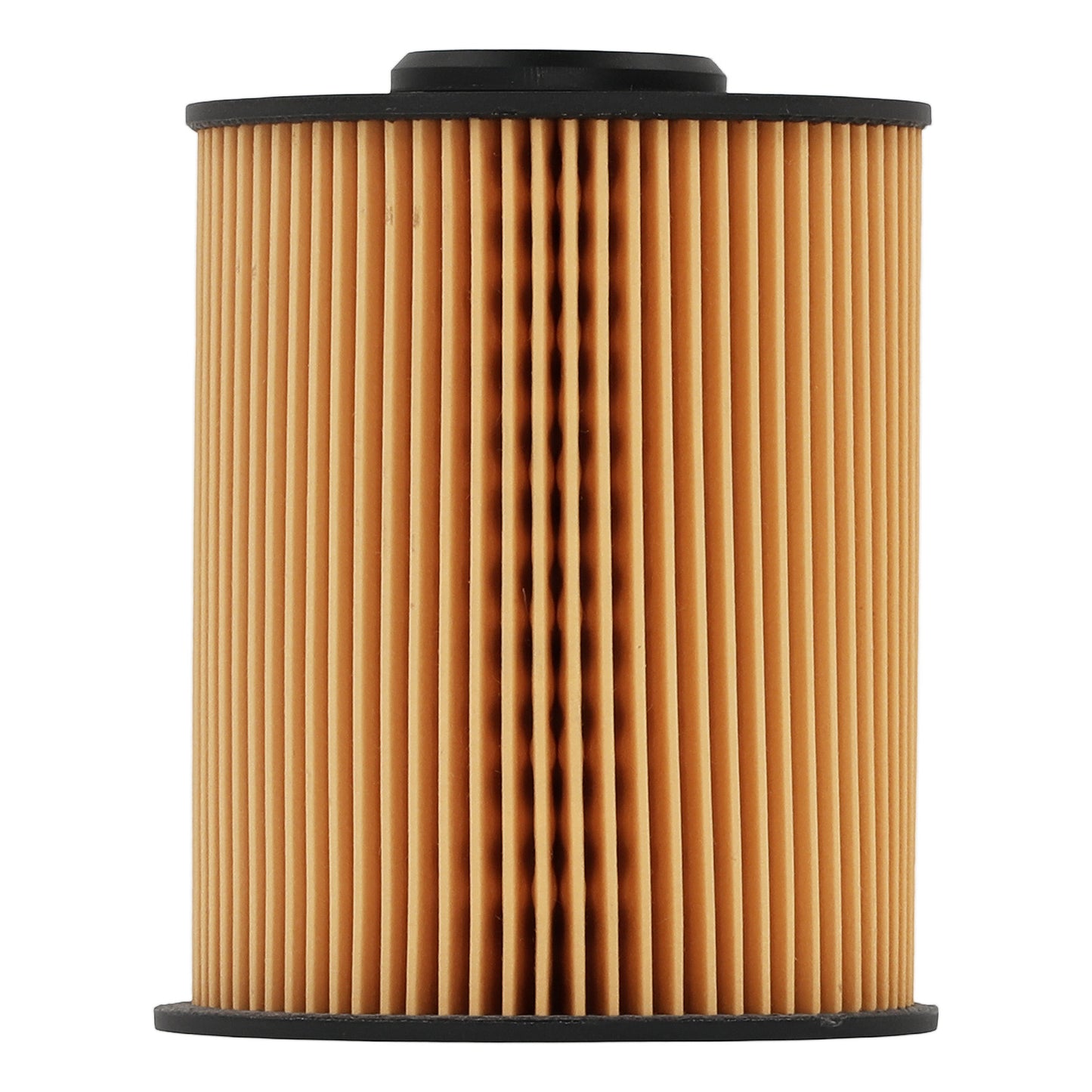 Fuel Filter compatible for Blue Bird Buses Champion compatible for Cummins Dodge Ford 1997-2016 FS19856