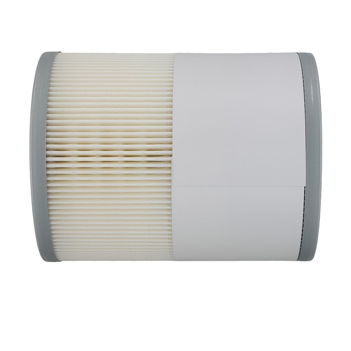 Fuel Filter with Water Separator fit for Detroit DD13 DD15 DD16 Diesel FS19915