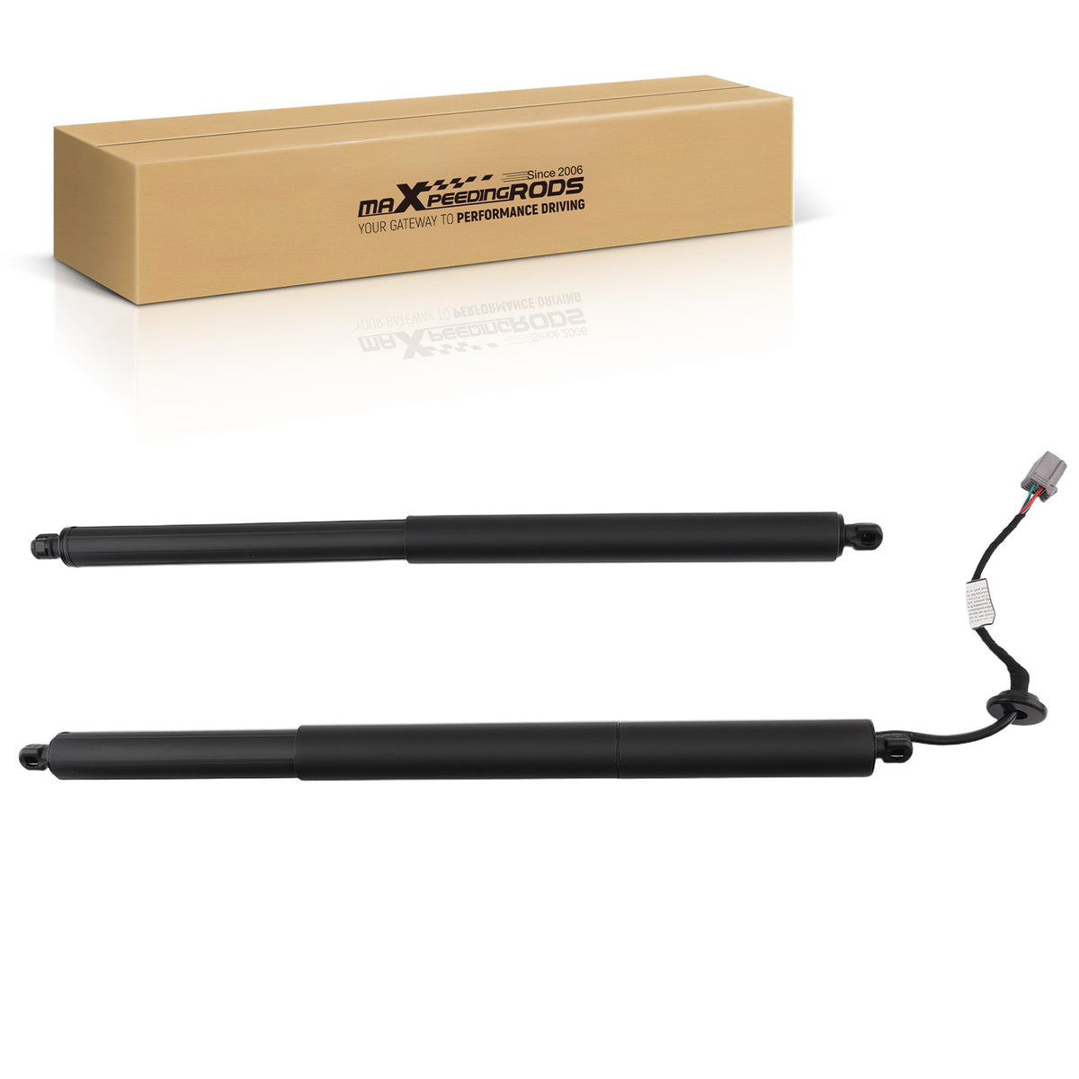 Power Lift Strut Rear L R compatible For Ford Explorer L4 /Police Interceptor 2016-2019