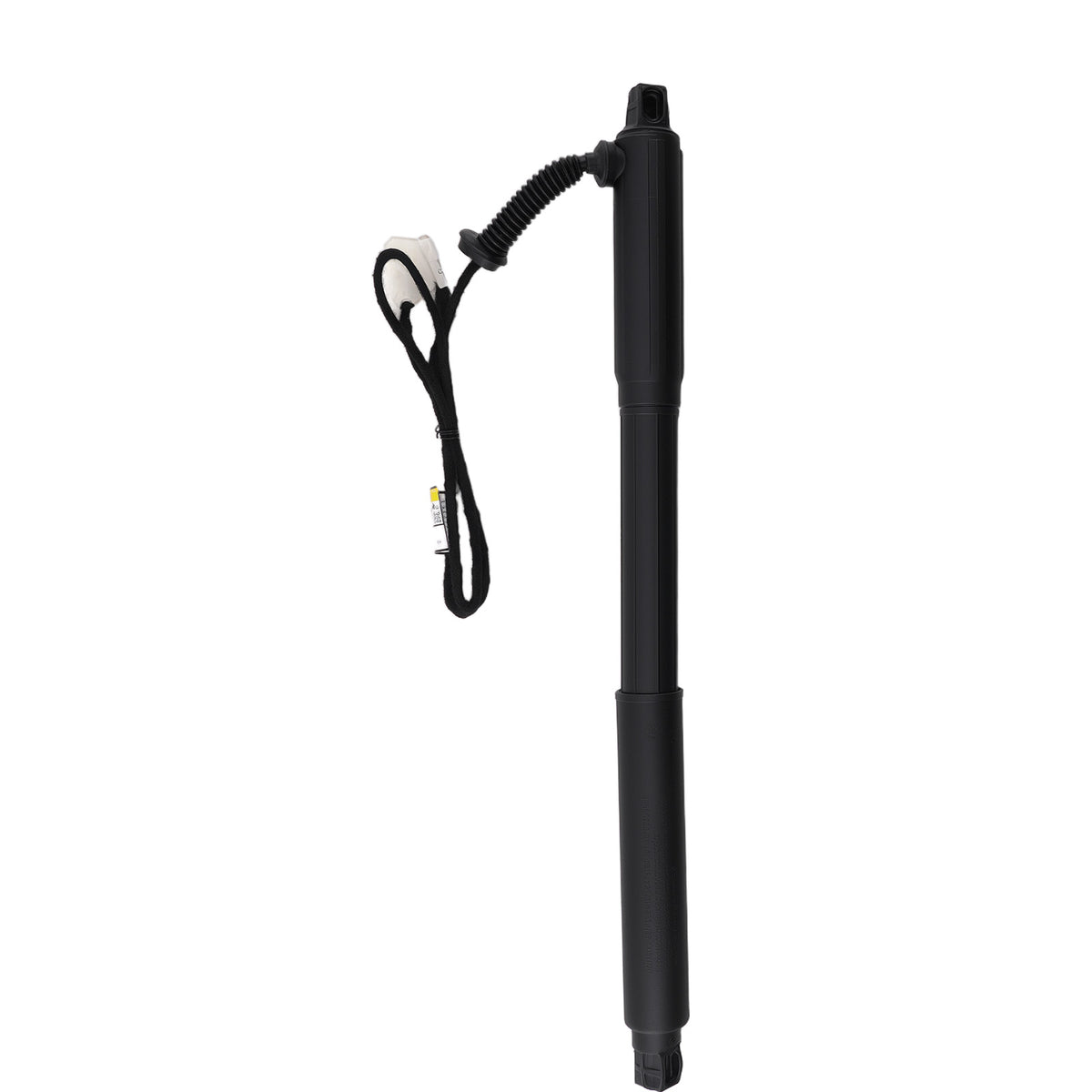 2* Hatch Lift Support Right Left Rear compatible For BMW X5 E70 3.0 4.8L 07-13 51247332695